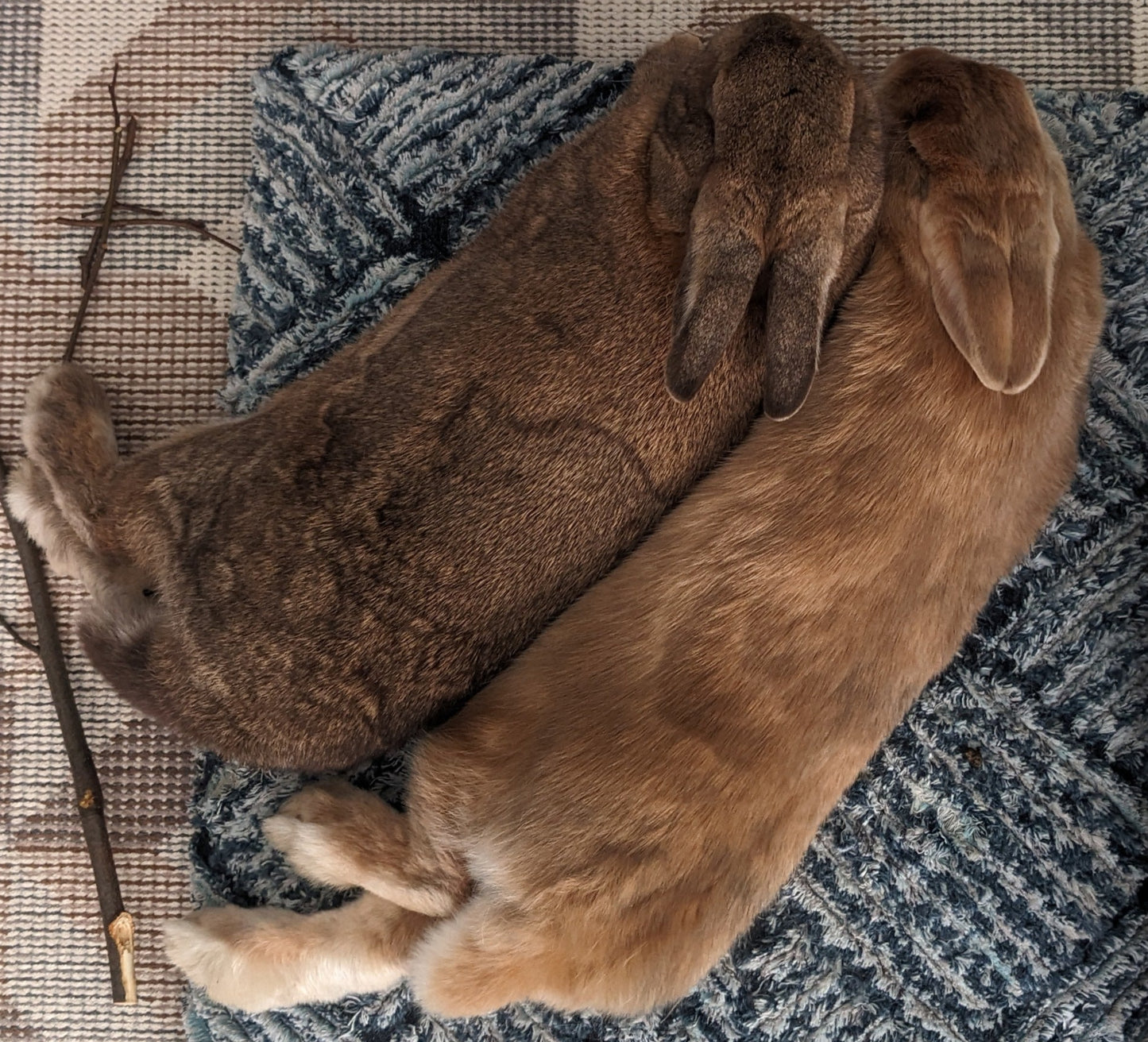 Extra durable pet bed