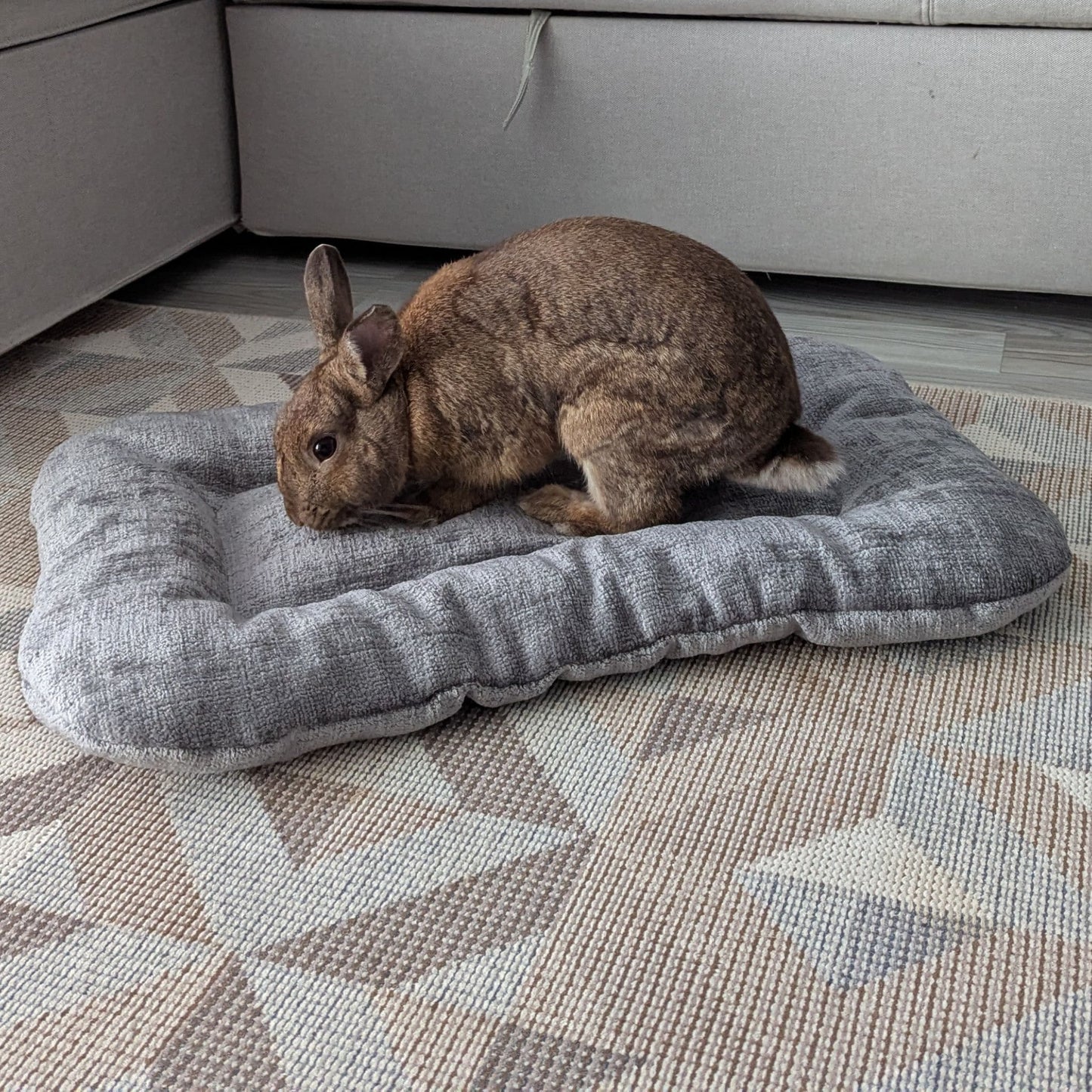Sustainable beige pet bed