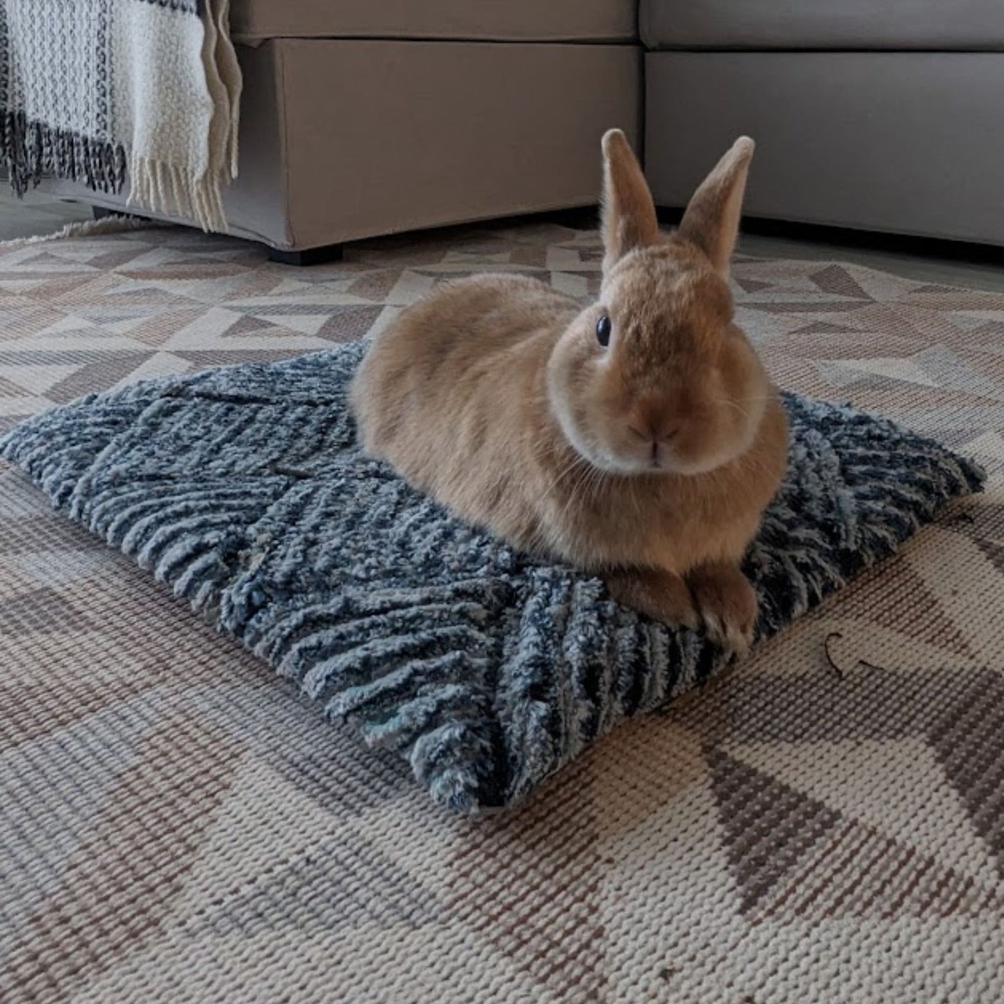 Extra durable pet bed